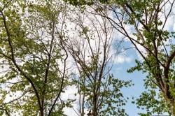 Общественники контролируют благоустройство парка имени XXII Партсъезда