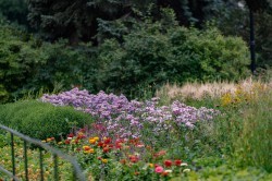 Александр Высокинский проинспектировал объекты строительства и ремонта в Кировском районе. Часть I