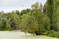 Александр Высокинский проинспектировал объекты строительства и ремонта в Кировском районе. Часть I