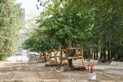 Общественники контролируют благоустройство парка имени XXII Партсъезда