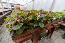 Александр Высокинский проинспектировал объекты строительства и ремонта в Кировском районе. Часть I