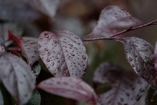 МЧС предупредило свердловчан о сильном ветре, грозе и граде