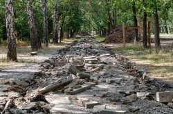 Общественники контролируют благоустройство парка имени XXII Партсъезда