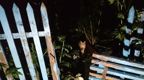 Как под Екатеринбургом тонет целый город. Репортаж из Нижних Серег Как под Екатеринбургом тонет целый город. Репортаж из Нижних Серег