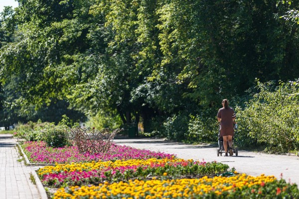 Жара останется на Урале до конца рабочей недели