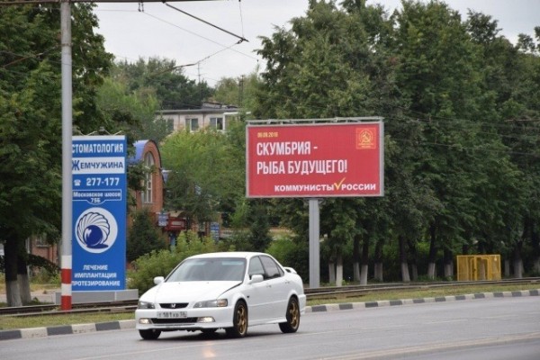 Что значит слоган «Скумбрия полезнее курицы!»? Объясняет автор