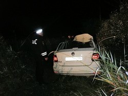 Под Екатеринбургом лось устроил ДТП на трассе