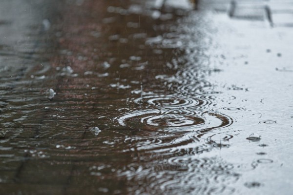 Спасатели предупредили екатеринбуржцев о сильном ветре, грозе и граде Спасатели предупредили екатеринбуржцев о сильном ветре, грозе и граде