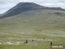 Коронавирус и пожары сорвали экспедицию на перевал Дятлова