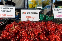 Ярмарка выходного дня пользуется большой популярностью у екатеринбуржцев