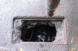 Службы благоустройства держат на особом контроле прочистку &laquo;ливнёвки&raquo;