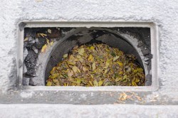 Службы благоустройства держат на особом контроле прочистку &laquo;ливнёвки&raquo;