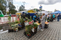 «Праздник урожая» в Екатеринбурге превзошёл ожидания «Праздник урожая» в Екатеринбурге превзошёл ожидания