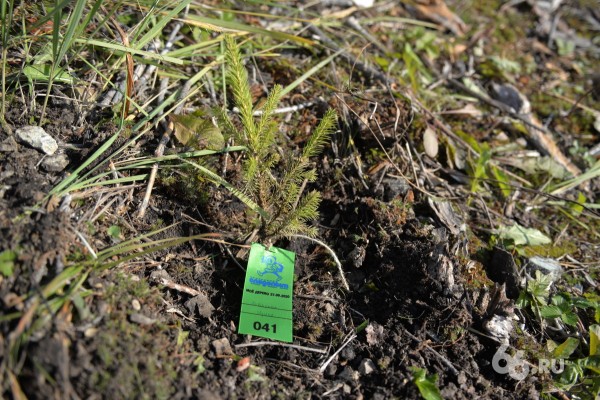 В Екатеринбурге прошла сентябрьская &laquo;Майская прогулка&raquo;. Фоторепортаж