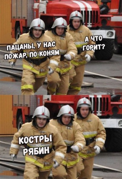 «Шуфутинов день»: почему все принялись переворачивать календарь «Шуфутинов день»: почему все принялись переворачивать календарь