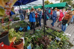 «Праздник урожая» в Екатеринбурге превзошёл ожидания «Праздник урожая» в Екатеринбурге превзошёл ожидания