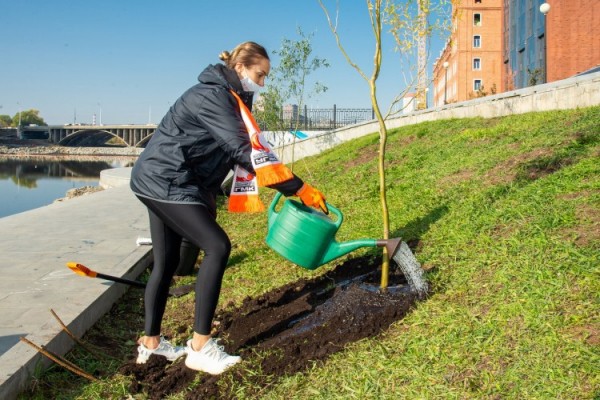 Баскетболистки УГМК внесли свой вклад в озеленение Екатеринбурга Баскетболистки УГМК внесли свой вклад в озеленение Екатеринбурга