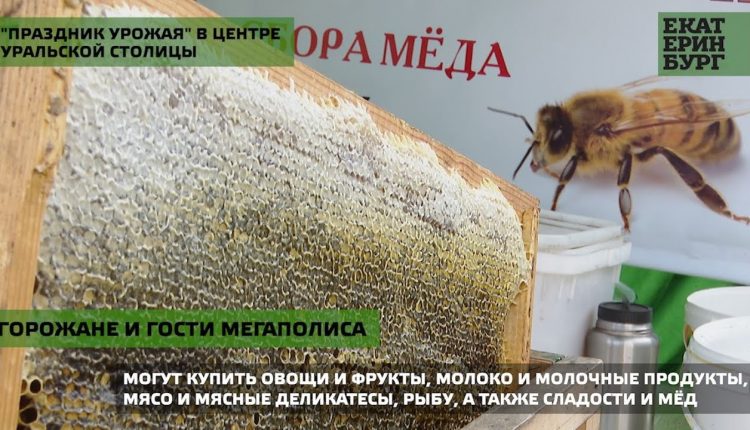 «Праздник урожая» в Екатеринбурге превзошёл ожидания