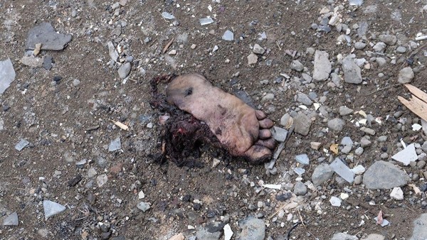 Война в Карабахе: репортаж Znak.com о тех, кто живет под бомбежками в Степанакерте Война в Карабахе: репортаж Znak.com о тех, кто живет под бомбежками в Степанакерте