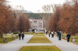 Экосовет проинспектировал несколько зелёных зон Екатеринбурга Экосовет проинспектировал несколько зелёных зон Екатеринбурга