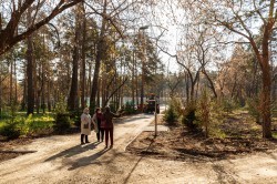 Экосовет проинспектировал несколько зелёных зон Екатеринбурга Экосовет проинспектировал несколько зелёных зон Екатеринбурга