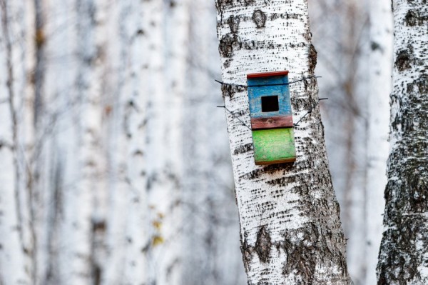 Пятница порадует екатеринбуржцев отсутствием осадков