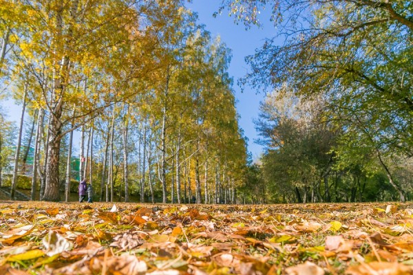 Синоптики пообещали заморозки на Урале