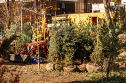 Экосовет проинспектировал несколько зелёных зон Екатеринбурга Экосовет проинспектировал несколько зелёных зон Екатеринбурга