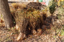 Экосовет проинспектировал несколько зелёных зон Екатеринбурга Экосовет проинспектировал несколько зелёных зон Екатеринбурга