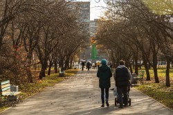 Экосовет проинспектировал несколько зелёных зон Екатеринбурга Экосовет проинспектировал несколько зелёных зон Екатеринбурга
