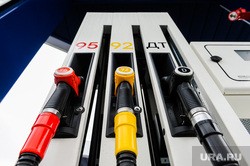 Названы регионы России с самым доступным топливом для населения Названы регионы России с самым доступным топливом для населения