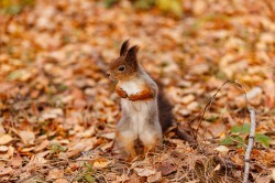 Экосовет проинспектировал несколько зелёных зон Екатеринбурга Экосовет проинспектировал несколько зелёных зон Екатеринбурга