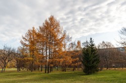 Экосовет проинспектировал несколько зелёных зон Екатеринбурга Экосовет проинспектировал несколько зелёных зон Екатеринбурга