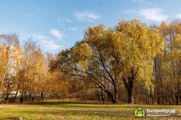 Экосовет проинспектировал несколько зелёных зон Екатеринбурга Экосовет проинспектировал несколько зелёных зон Екатеринбурга