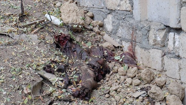 Война в Карабахе: репортаж Znak.com о тех, кто живет под бомбежками в Степанакерте Война в Карабахе: репортаж Znak.com о тех, кто живет под бомбежками в Степанакерте