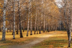 Экосовет проинспектировал несколько зелёных зон Екатеринбурга Экосовет проинспектировал несколько зелёных зон Екатеринбурга