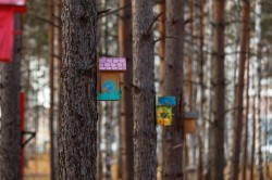 Экосовет проинспектировал несколько зелёных зон Екатеринбурга Экосовет проинспектировал несколько зелёных зон Екатеринбурга