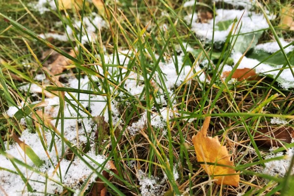 Воздух на Урале продолжит постепенно остывать Воздух на Урале продолжит постепенно остывать