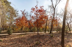 Экосовет проинспектировал несколько зелёных зон Екатеринбурга Экосовет проинспектировал несколько зелёных зон Екатеринбурга