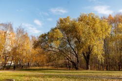 Экосовет проинспектировал несколько зелёных зон Екатеринбурга Экосовет проинспектировал несколько зелёных зон Екатеринбурга