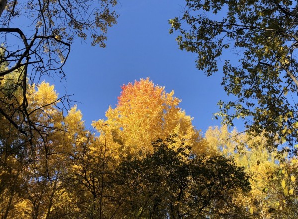 Выходные в уральской столице будут тёплыми Выходные в уральской столице будут тёплыми