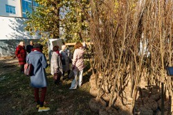 Экосовет проинспектировал несколько зелёных зон Екатеринбурга Экосовет проинспектировал несколько зелёных зон Екатеринбурга