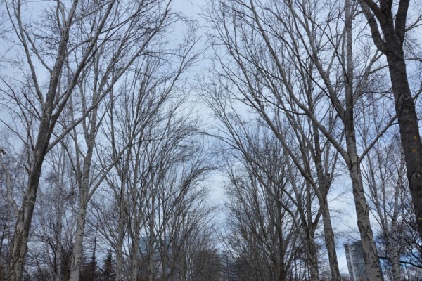 Начало рабочей недели на Урале будет морозным