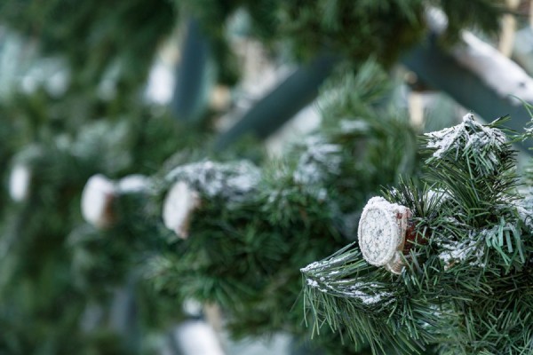 На Урал придёт недолгое потепление