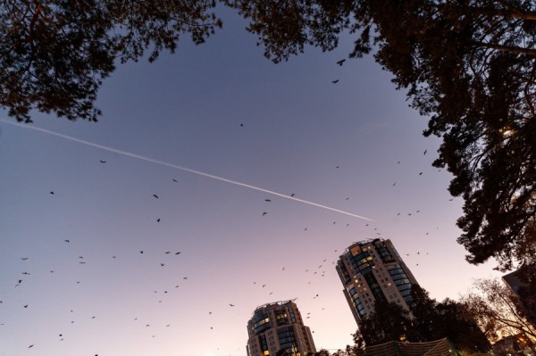 Чем пятничная погода порадует екатеринбуржцев?