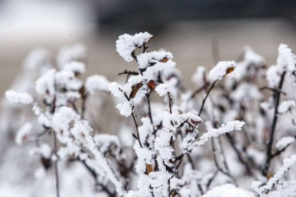 Снег и 15-градусный мороз задержатся в столице Урала ещё на один день Снег и 15-градусный мороз задержатся в столице Урала ещё на один день