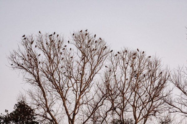 Погода в Екатеринбурге на выходные: солнце и слабый ветер
