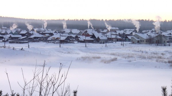 Бизнесмен Игорь Черноголов сделает из села под Ревдой экодеревню