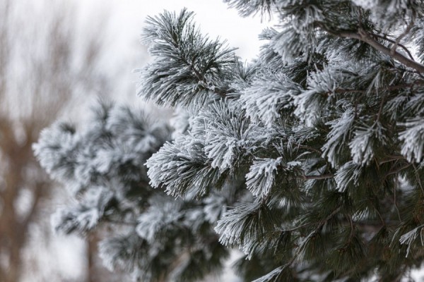 В пятницу в Екатеринбурге резко похолодает