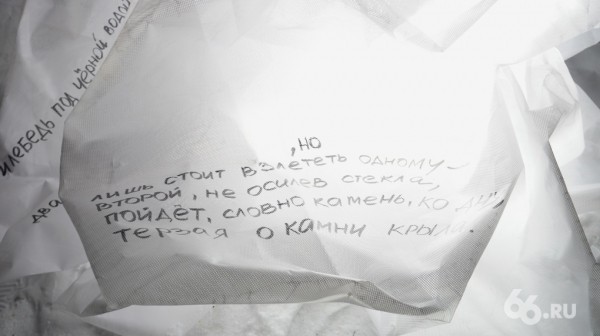 В ЦПКиО начался фестиваль светового искусства «Не темно». Фото арт-объектов